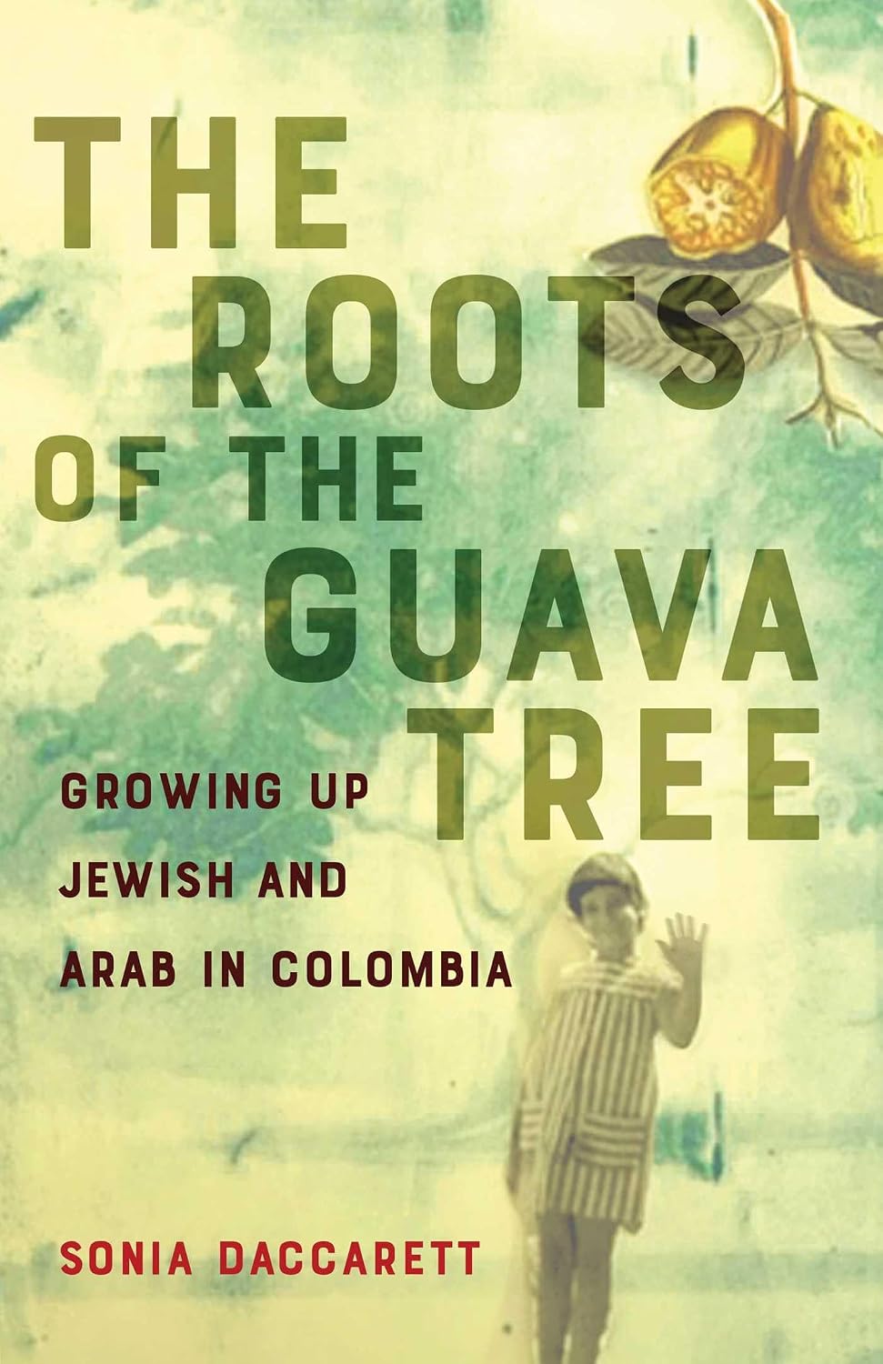 The Roots of the Guava Tree book cover